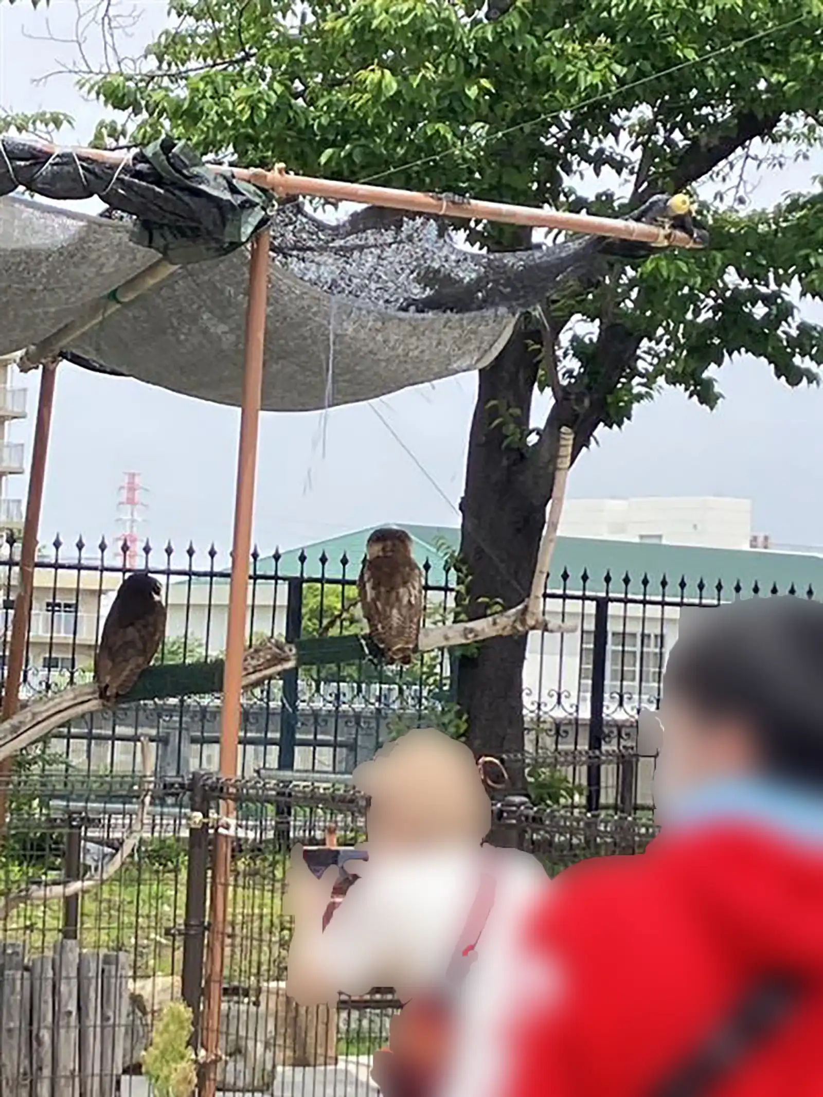 20250514グループワーク「あらかわ遊園」参加者画像3