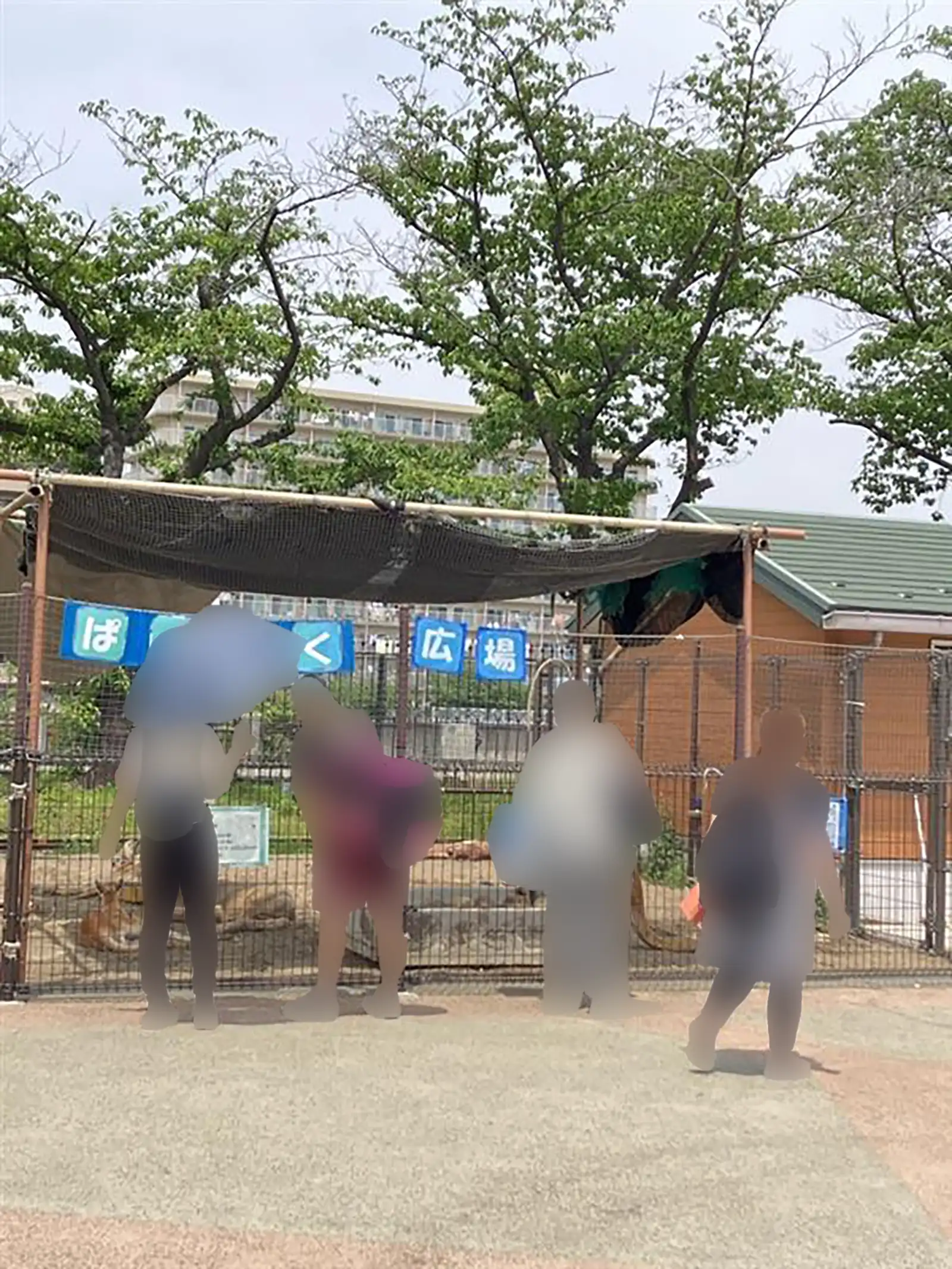 20250514グループワーク「あらかわ遊園」参加者画像1