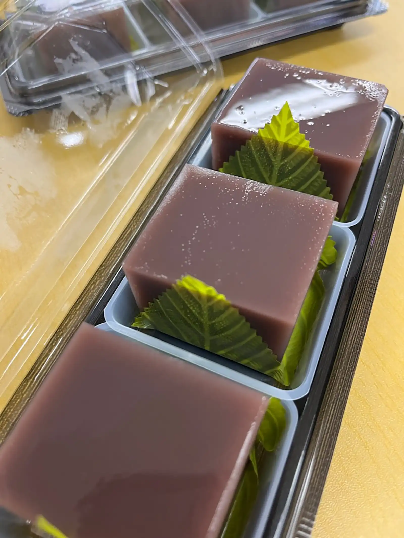 20250815グループワーク「うちわ作りと水ようかん」水ようかん画像