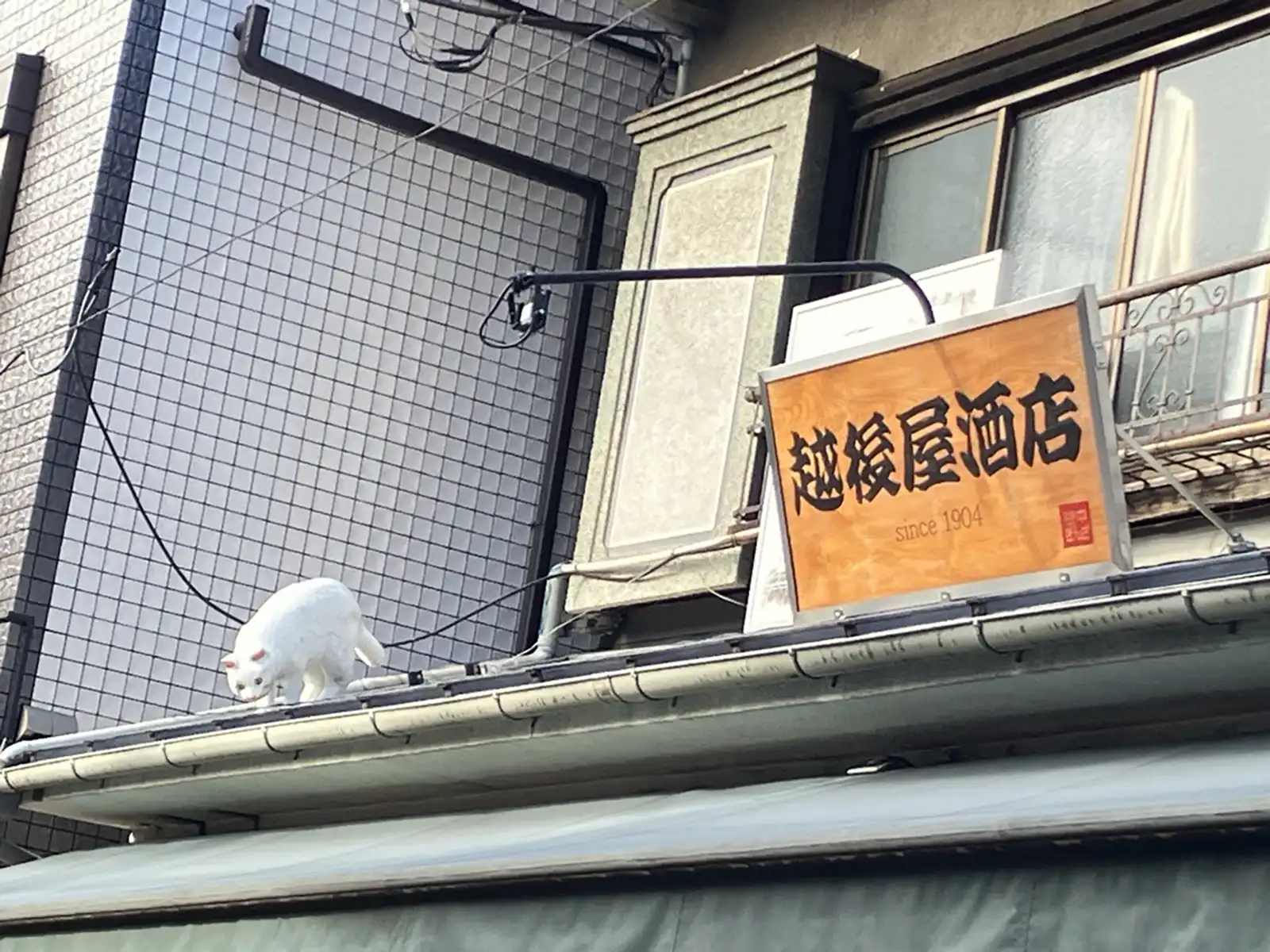 20251222利用者さん企画「谷中散歩」散歩風景3